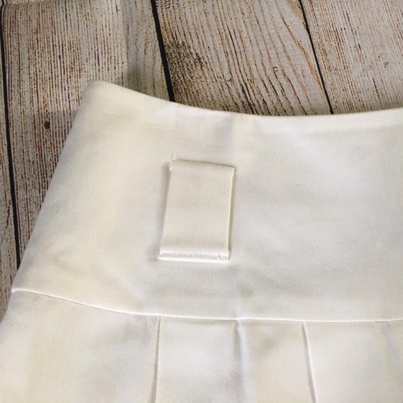 Tahari Arthur S. Levine Pleated A-Line Skirt - Size 6 - Picture 2 of 6